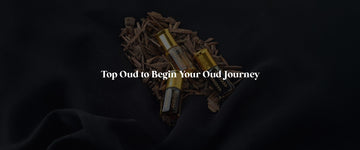 Top Oud Fragrances To Begin Your Oud Journey